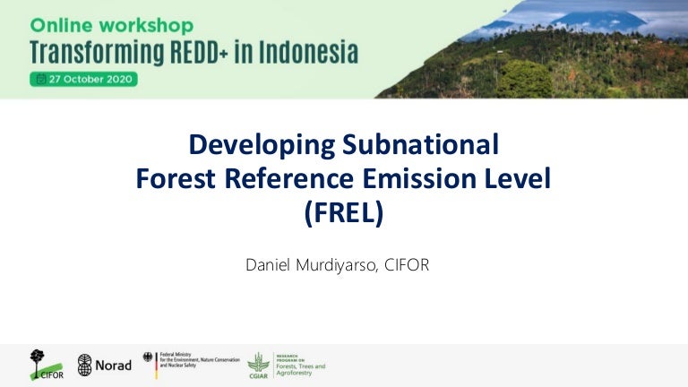 thumbnail of  Developing Subnational Forest Reference Emission Level (FREL)