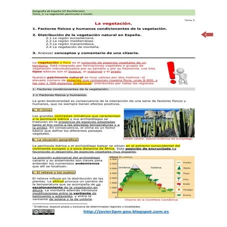 Los paisajes vegetales en España