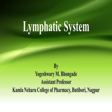 5. lymphatic system