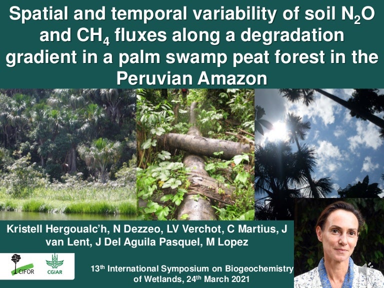thumbnail of  Spatial and temporal variability of soil N2O and CH4 fluxes along a degradation gradient of palm swamp peatlands in the Peruvian Amazon