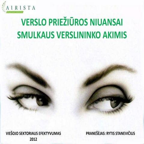 Verslo priežiūros niuansai smulkaus verslininko akimis. Rytis Stanevičius