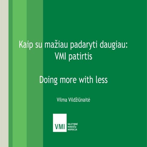 Kaip su mažiau padaryti daugiau: VMI patirtis. Vilma Vildžiūnaitė