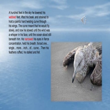 5.text page 60 Jonathan Livingstone