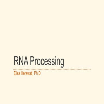 5.RNA Processing.pptx