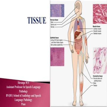 Histology Slides.ppt