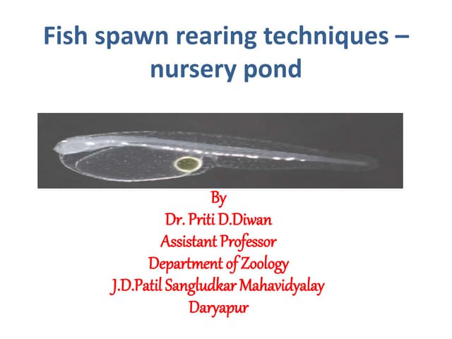 Pre stocking management of nursery pond | PDF