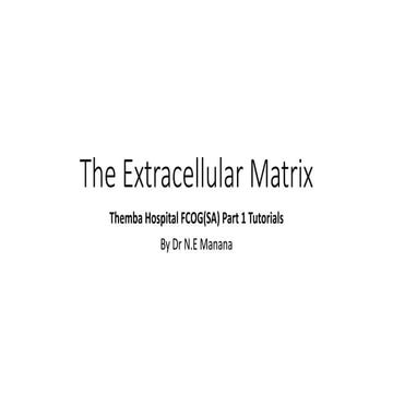 5. Cellular Adhesion and the Extracellular Matrix.pptx