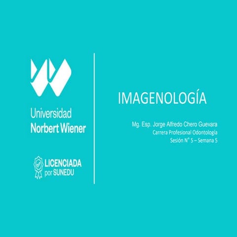 IMAGENOLOGIA PRACTICA N°5