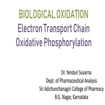  ETC & oxidative phosphorylation.pptx