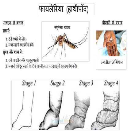 Filaria wall poster Hindi