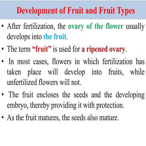 5. Classification of Fruits according to types.pptx