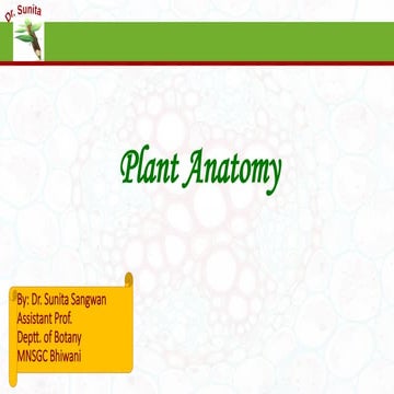 Xylem- complex permanent tissue in plants