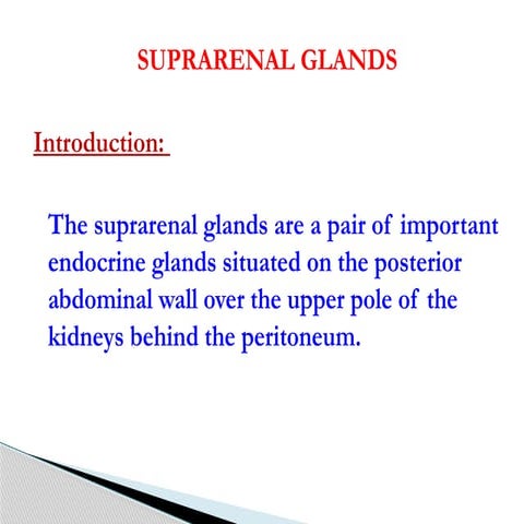 Anatomy & Physiology of Adrenal glands.pptx
