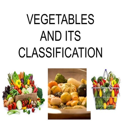 Classification of vegetables | PPTX