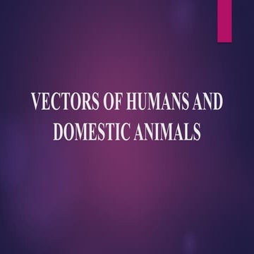 5.Vectors of humans and domestic animals-1.pptx