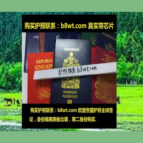 如果我的签证被拒绝【买护照强润:u5pk.com】如果我的签证被拒绝【买护照强润:u5pk.com】 | PPTX