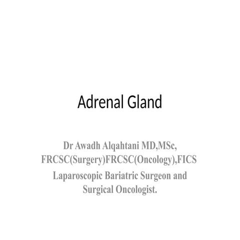 Adrenal gland anatomy and physiology about the adrenal England.pptx