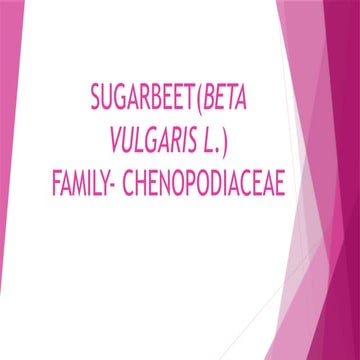 Sugarbeet crop prodcution technology, origin, importance, nutrient, weed and ...