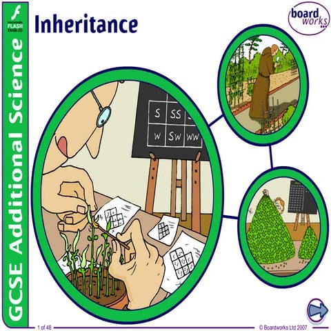 5. Inheritance v1.0.ppt boardworks powerpont