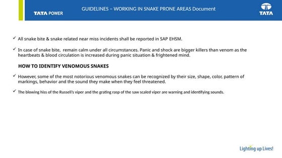 Basic safety against snake bite at work place | PPTX | First Aid | Injuries