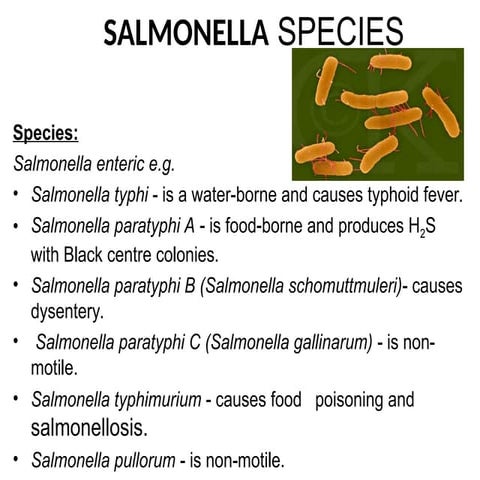 5. SALMONELLA PPT.ppt KMTC 2.1 MLS .....