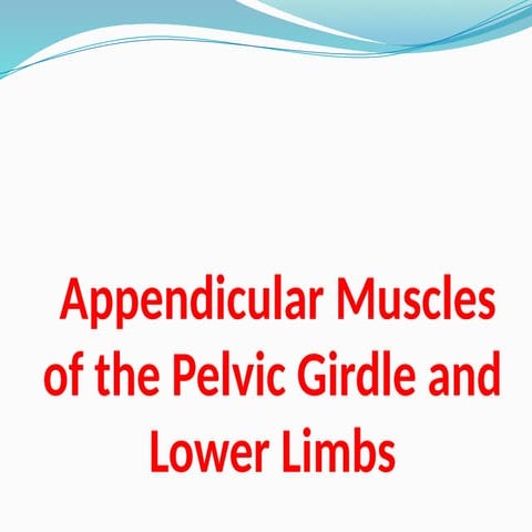 5.2-Muscles of the P.G. and Lower Limbs السكشن الخامس 2 3 (1).pptx