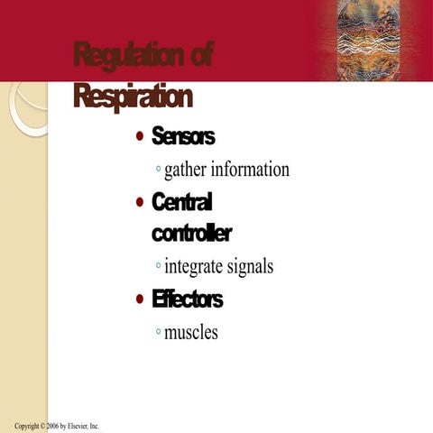 5. Regulation of respiration.pptx chemical and nervous