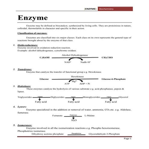 Enzymes Biochemistry pdf notes..........