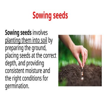 Methods of planting | PPTX