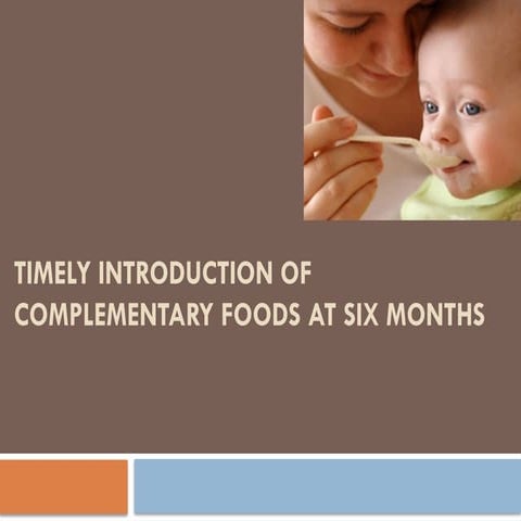 Comprehensive Guide to Timely Introduction of Complementary Foods at ...