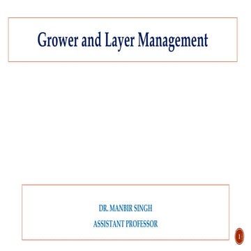 Commercial layer Production | PDF