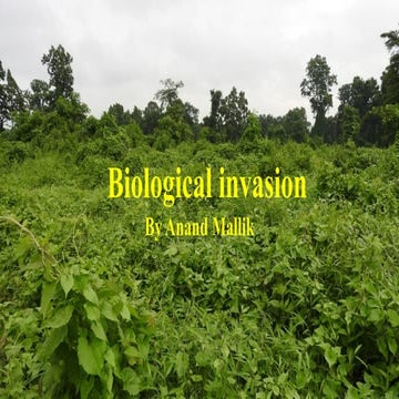 Understanding Biological Invasion: Causes, Species, and Ecosystem ...