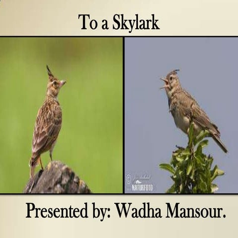 5.3. To a Skylark