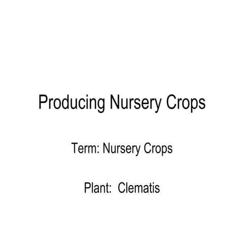 Producing nursery crops