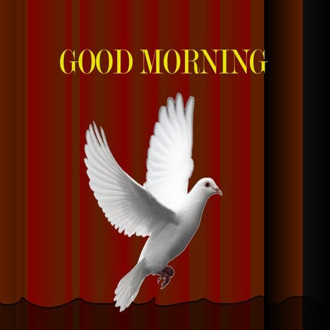  bleedig & clotting disorders