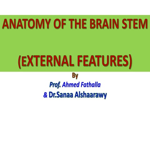5- Brain stem-External Features.with clinical anatomyppt