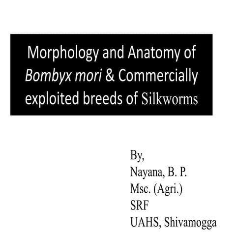 5  chapter morphology and anatomy of sw sps. commercially exploited breeds of sw