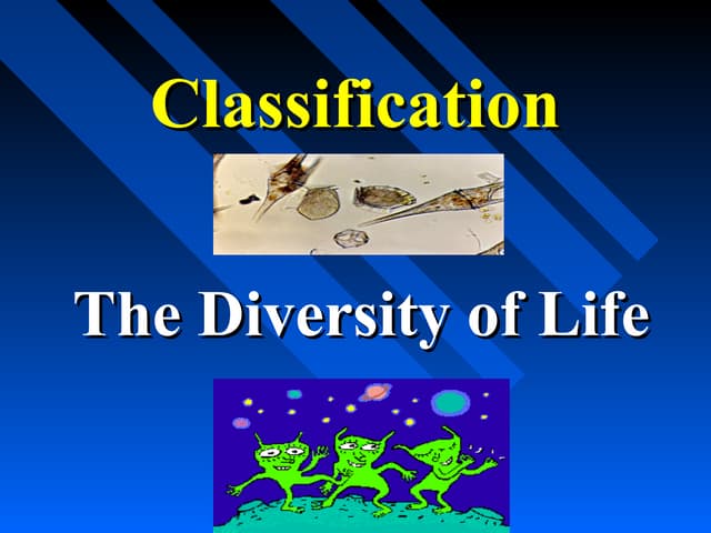 CLASSIFICATION