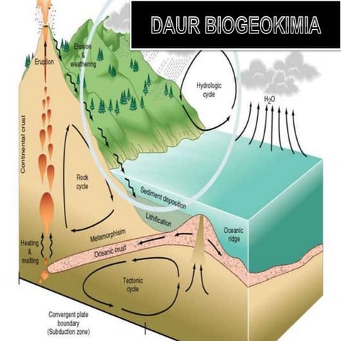 5. daur biogeokimia