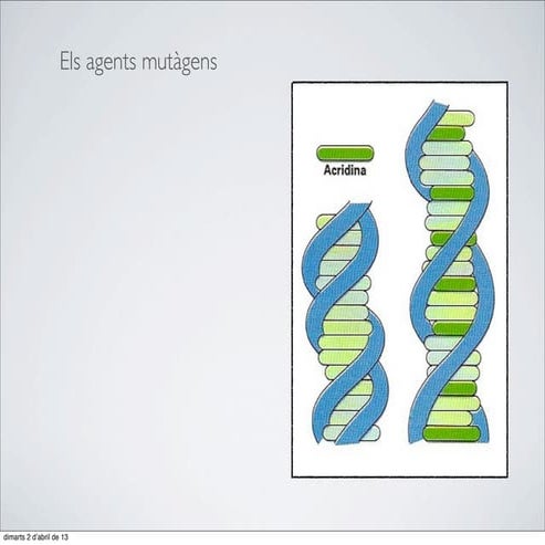 70. Els agents mutàgens