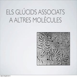 13. Els glúcids associats a altres ...