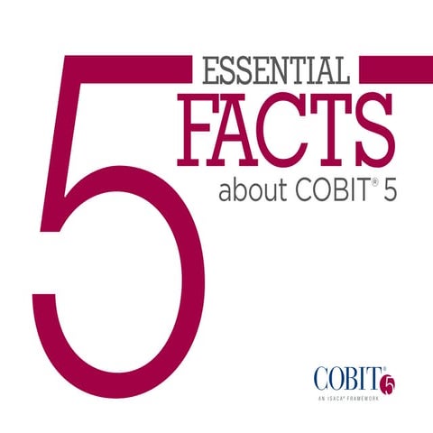 5 essential-facts-about-cobit
