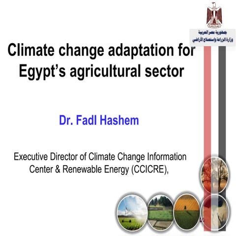 Fadl Hashem (Ministry of Agriculture) • 2021 IFPRI Egypt Seminar Series: "Cli...