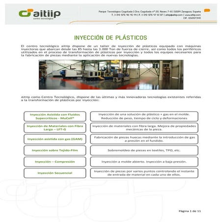 5.ficha inyeccion | PDF