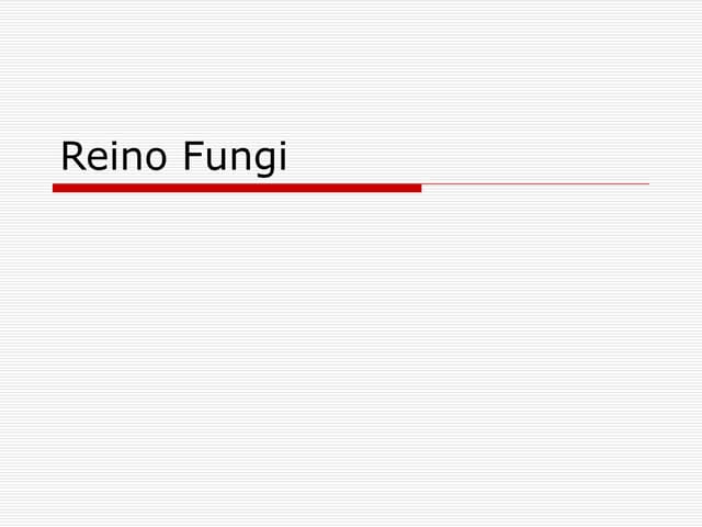 5   fungi