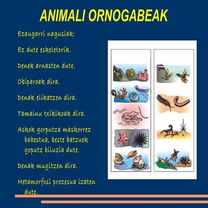 3.LH. 5.GAIA. ANIMALIA ORNOGABEAK (I)