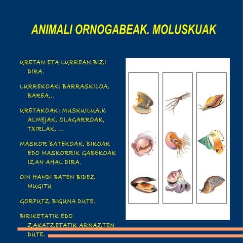 3.LH. 5.GAIA. ANIMALIA ORNOGABEAK (II)