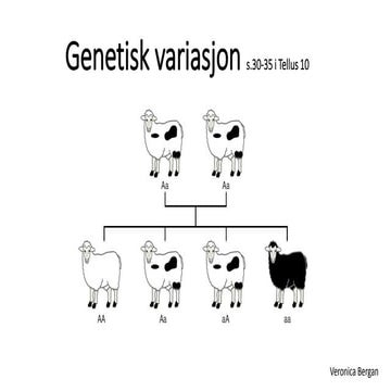 5  genetisk variasjon, Kap 1 i Tellus 10, Aschehoug. 