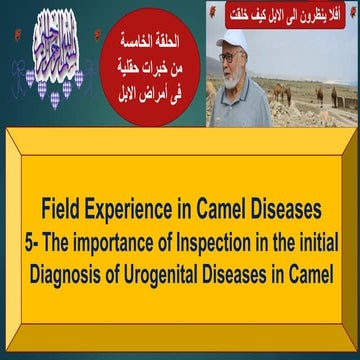 5-Impotance of Ispection for Early Diagnosis of Urinary, Metbolic & Blood Par...