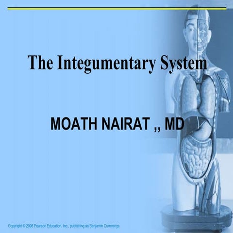  integumentary system